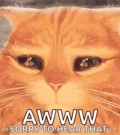 Cat Saying I'm Sorry To Hear That GIF