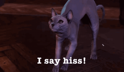 Cat Saying I Say Hiss GIF
