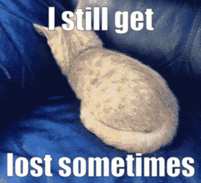 Cat Saying I Still Get Lost Sometimes GIF