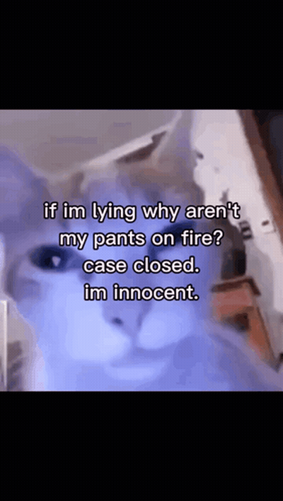 Cat Saying If Im Lying Why Arent My Pants On Fire GIF
