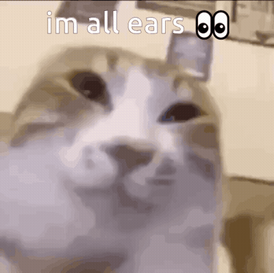 Cat Saying Im All Ears GIF