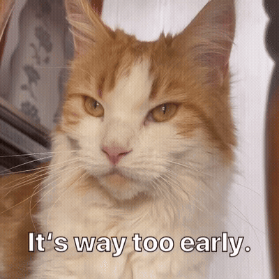 Cat Saying It's Way Too Early GIF