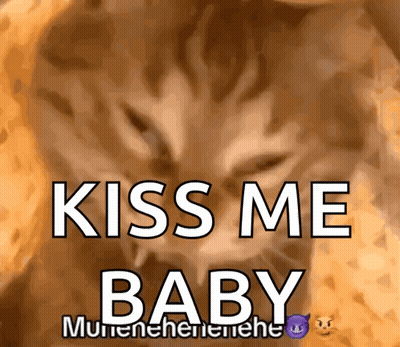 Cat Saying Kiss Me Baby GIF