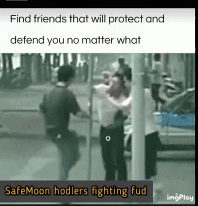 Cat Saying Ladies Don't Start Fights But They Can Finish Them GIF