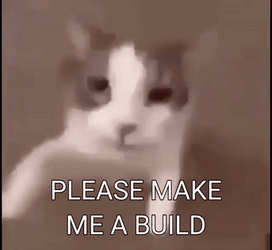 Cat Saying Make Me Build GIF