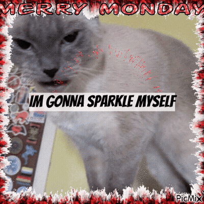 Cat Saying Merry Monday GIF