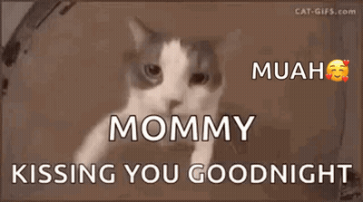 Cat Saying Mommy Muah Goodnight GIF