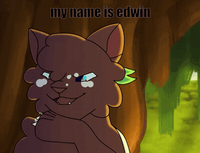 Cat Saying My Name Is Edwin GIF