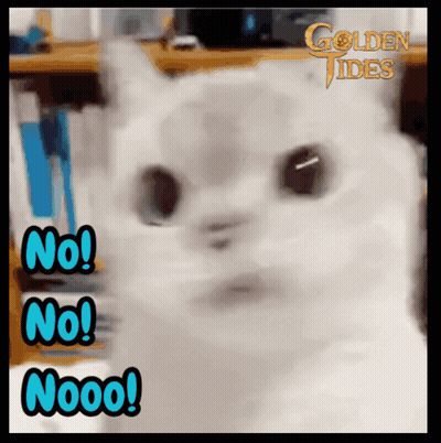 Cat Saying No No Nooo GIF