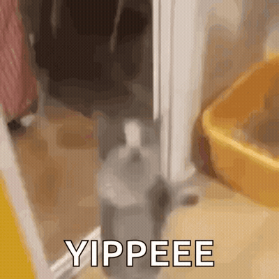 Cat Saying Oh Hell It's Monday GIF