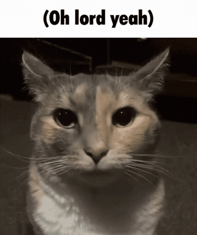 Cat Saying Oh Lord Yeah GIF
