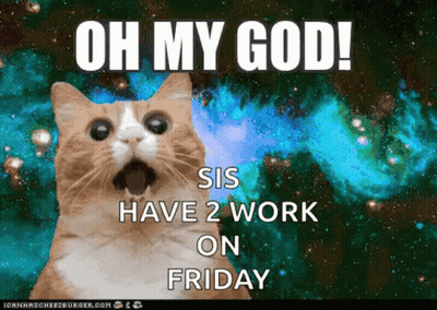 Cat Saying Oh My God Sis Have 2 Work Friday Galaxy GIF