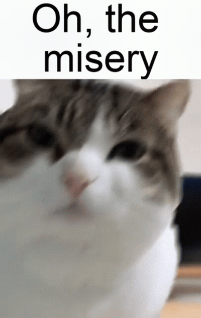 Cat Saying Oh The Misery GIF