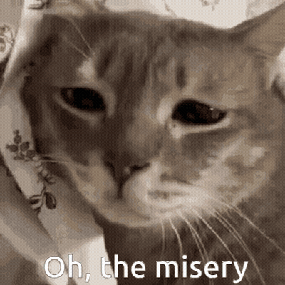 Cat Saying Oh The Misery GIF