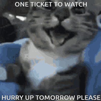 Cat Saying One Ticket To Watch Hurry Up Tomorrow Please GIF