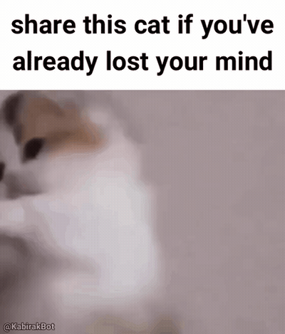 Cat Saying Share This Cat If You've Already Lost Your Mind GIF