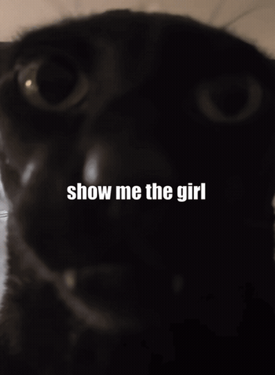 Cat Saying Show Me The Girl GIF