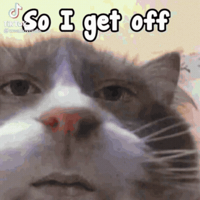 Cat Saying So I Get Off GIF