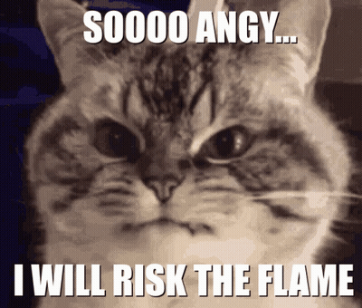 Cat Saying Soooo Angy I Will Risk The Flame GIF