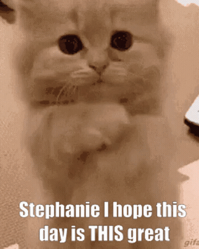 Cat Saying Stephanie I Hope This Day Is This Great GIF