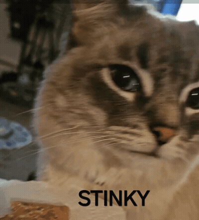 Cat Saying Stinky