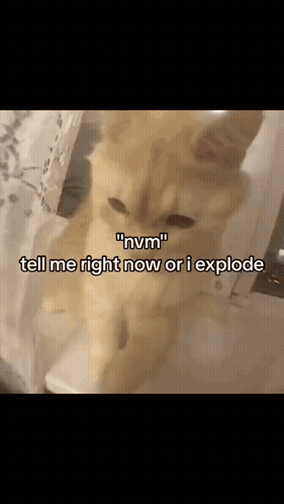Cat Saying Tell Me Right Now Or I Explode GIF