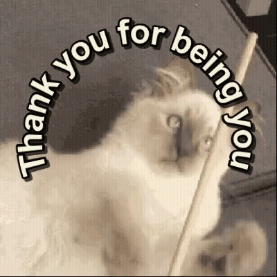 Cat Saying Thank You For Being You GIF