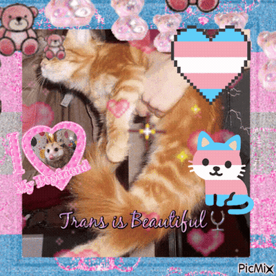 Cat Saying Trans Is Beautiful GIF