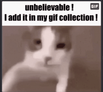 Cat Saying Unbelievable I Add It In My Gif Collection