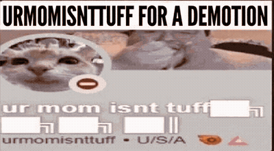 Cat Saying Urmomisnttuff For A Demotion GIF