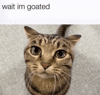 Cat Saying Wait Im Goated