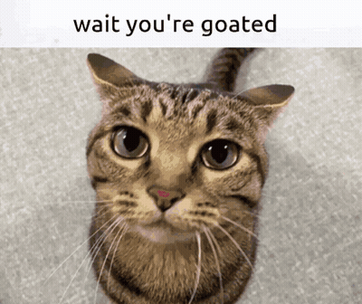 Cat Saying Wait You're Goated On It GIF