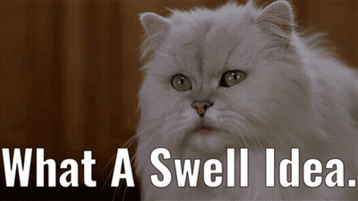 Cat Saying What A Swell Idea GIF