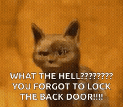 Cat Saying What The Hell You Forgot To Lock The Back Door GIF