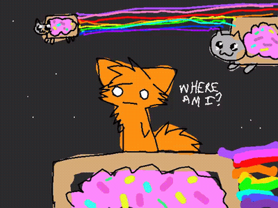Cat Saying Where Am I GIF