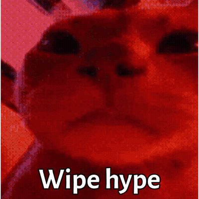 Cat Saying Wipe Hype GIF