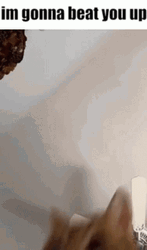 Cat Says I'm Gonna Beat You Up GIF