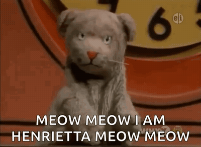 Cat Says Meow Meow I Am Henrietta Meow Meow in Front of Clock