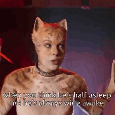 Cat Says When You Think He's Half Asleep No GIF