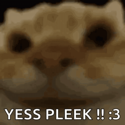 Cat Says Yess Pleek GIF
