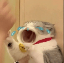 Cat Screaming Mouth Wide GIF