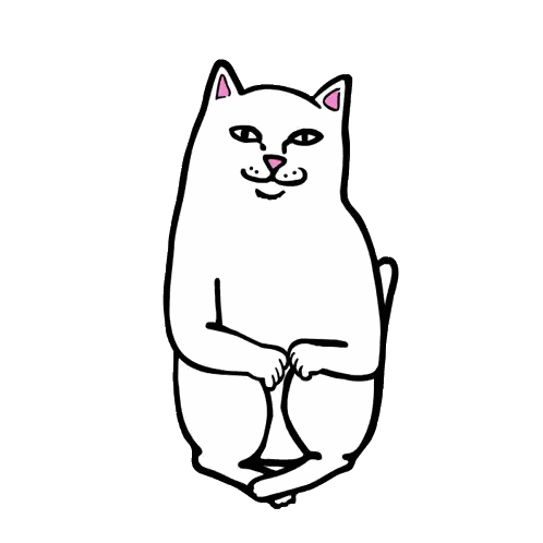 Cat Showing Middle Finger Sticker