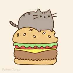 Cat Siiting On A Burger GIF