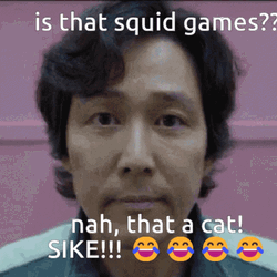 Cat Sike Squid Game GIF