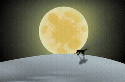 Cat Silhouette On Hill In Front Of Full Moon GIF