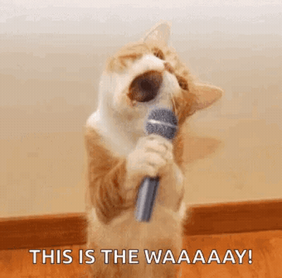Cat Singing Into Microphone This Is The Waaaay GIF