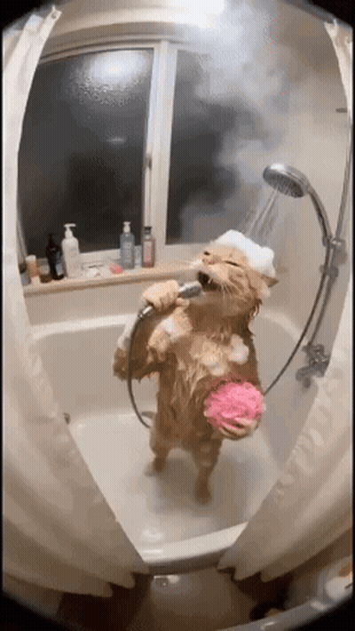 Cat Singing Into Shower Head GIF