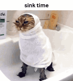 Cat Sink GIF