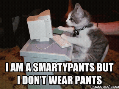 Cat Sitting At Computer Saying I Am A Smartypants GIF