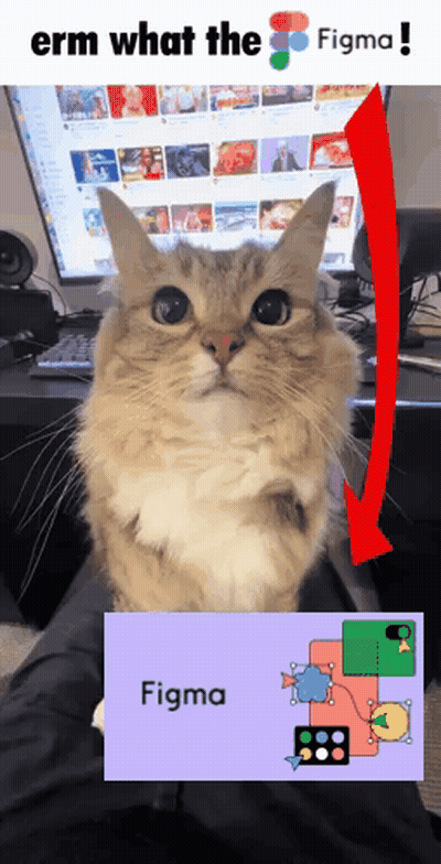Cat Sitting At Computer With Figma Sign GIF